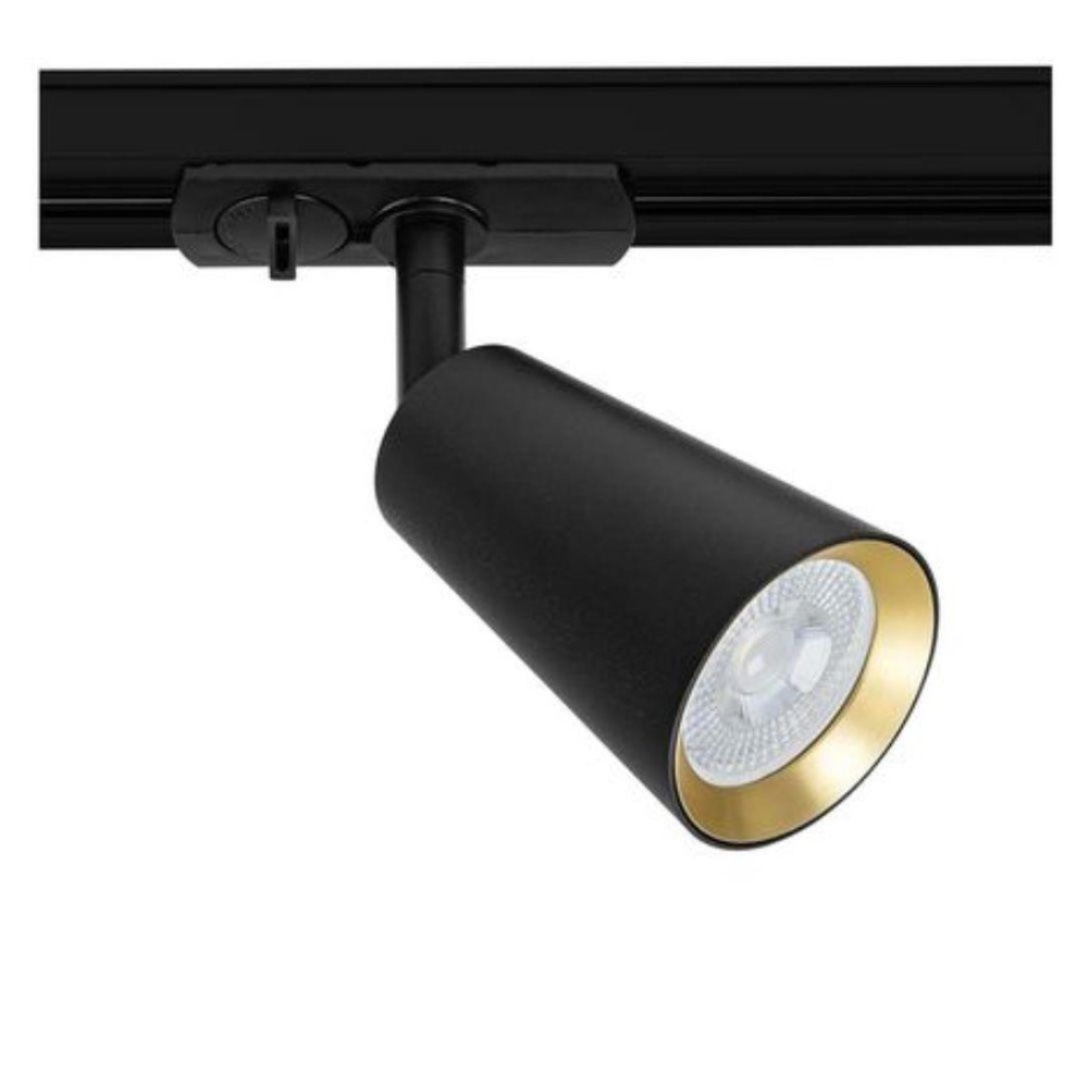_vokruglamp_trekovyy_svetilnik_arte_lamp_cintura_a2355pl_1bk.jpeg