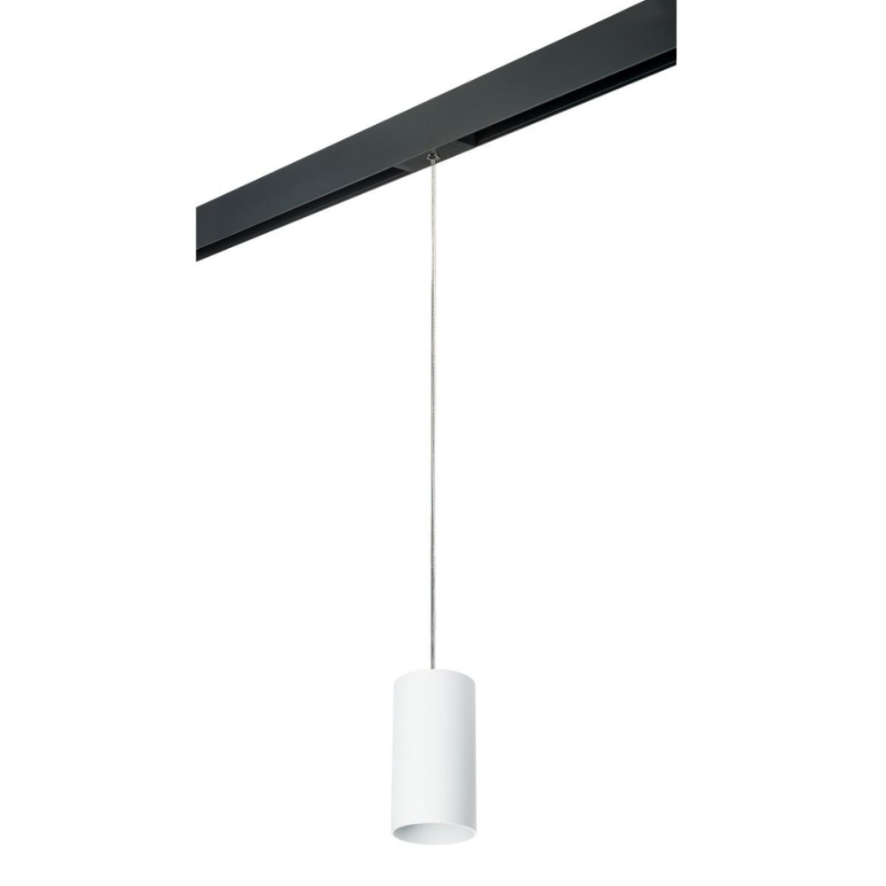 _vokruglamp_trekovyy_svetilnik_lightstar_rullo_216486_595887_prorp6486.jpeg