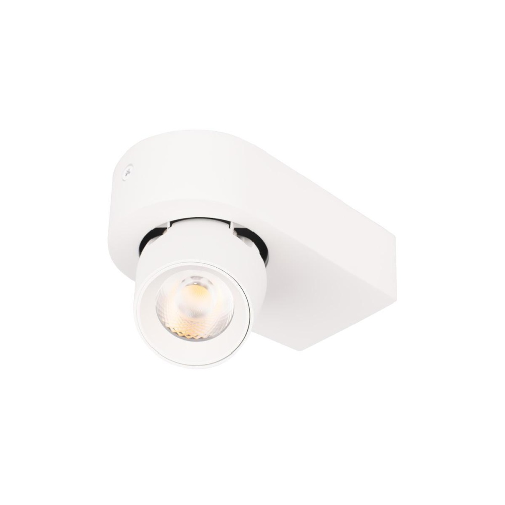 _vokruglamp_spot_loft_it_quiet_10320_white.jpg