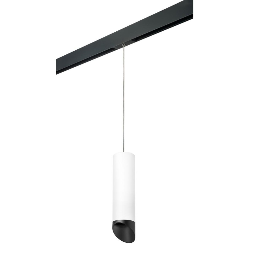 _vokruglamp_trekovyy_svetilnik_lightstar_rullo_216496_595887_201487_prorp649687.jpeg