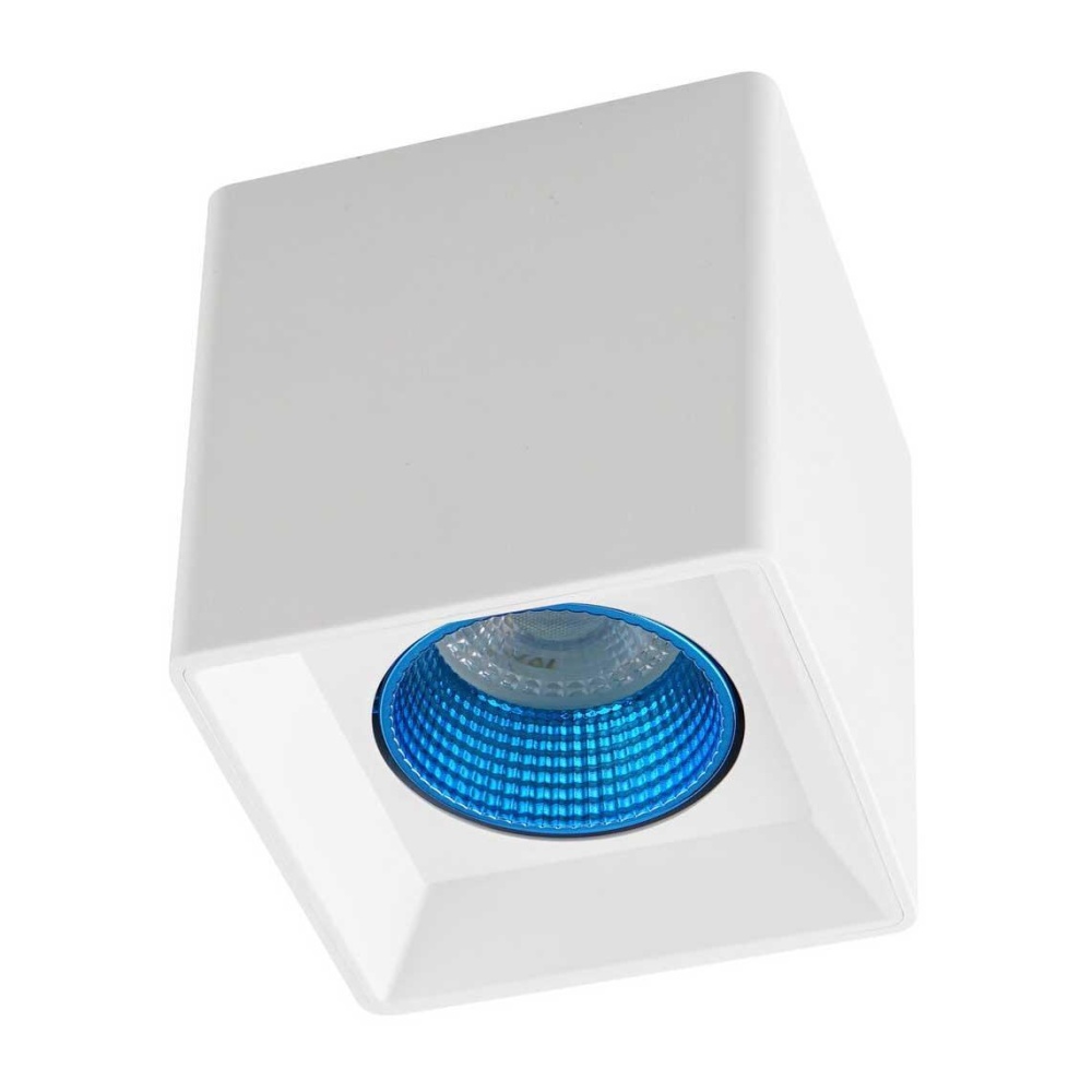 _vokruglamp_potolochnyy_svetilnik_denkirs_dk3020wsy_dk3080_wh_cy.jpeg