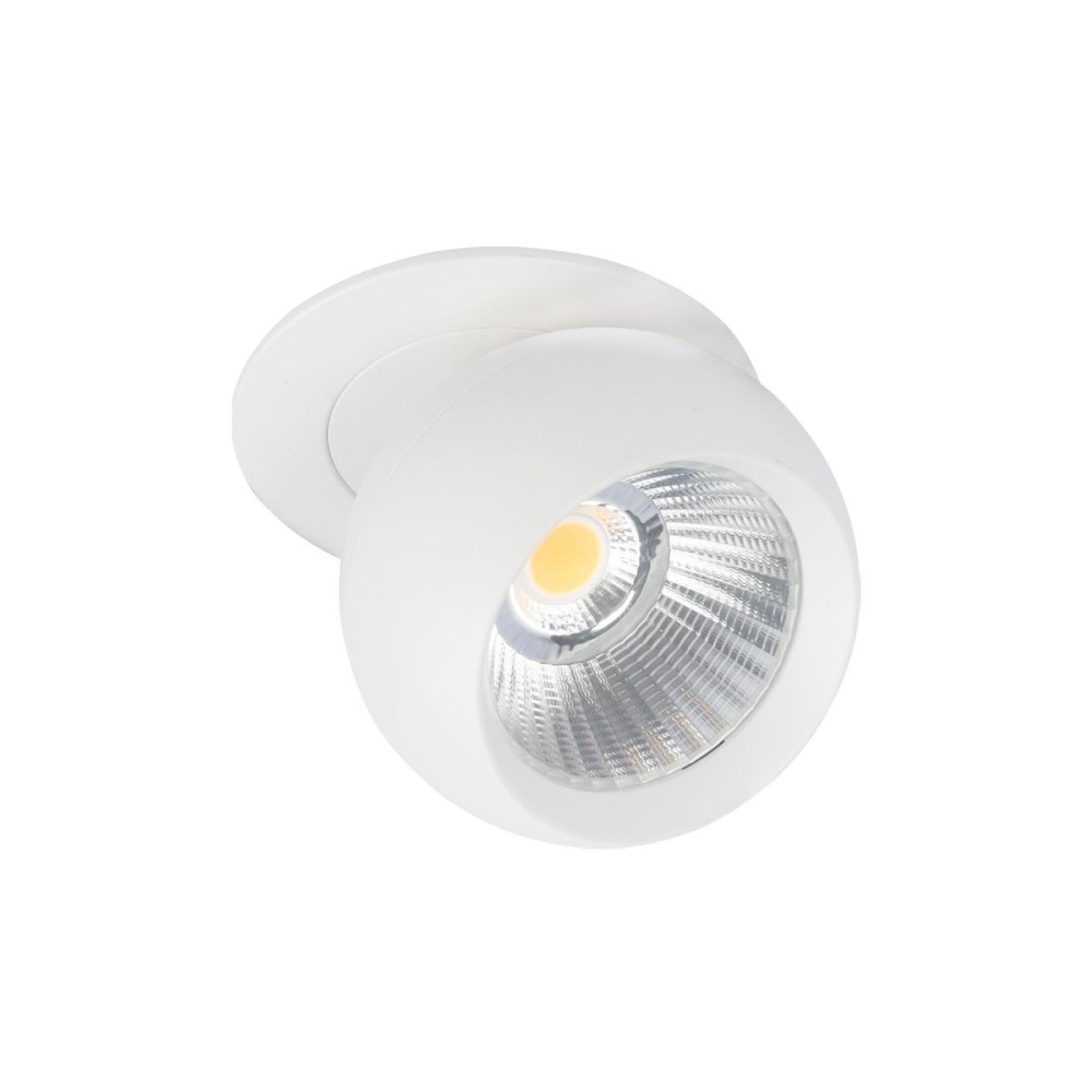 _vokruglamp_vstraivaemyy_svetilnik_loft_it_dot_10332_white.jpg