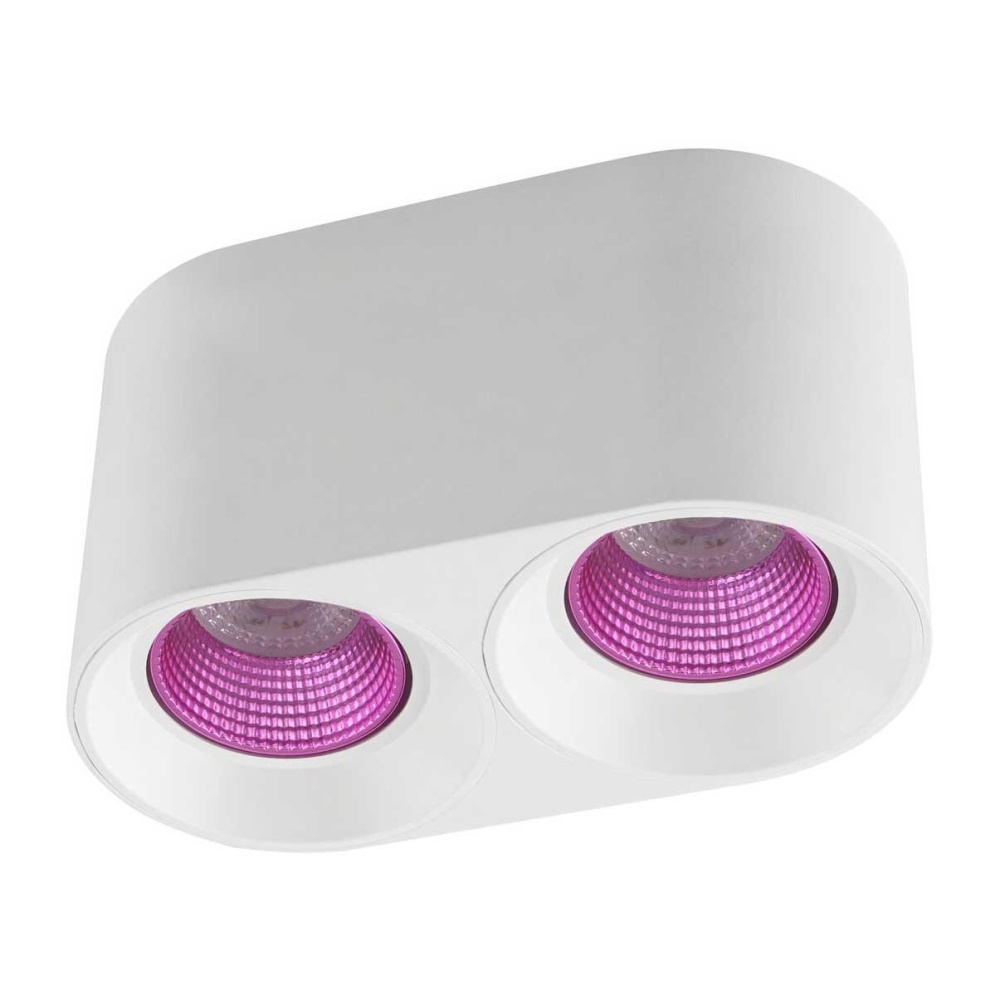 _vokruglamp_potolochnyy_svetilnik_denkirs_dk3020wpi_dk3096_wh_pi.jpeg