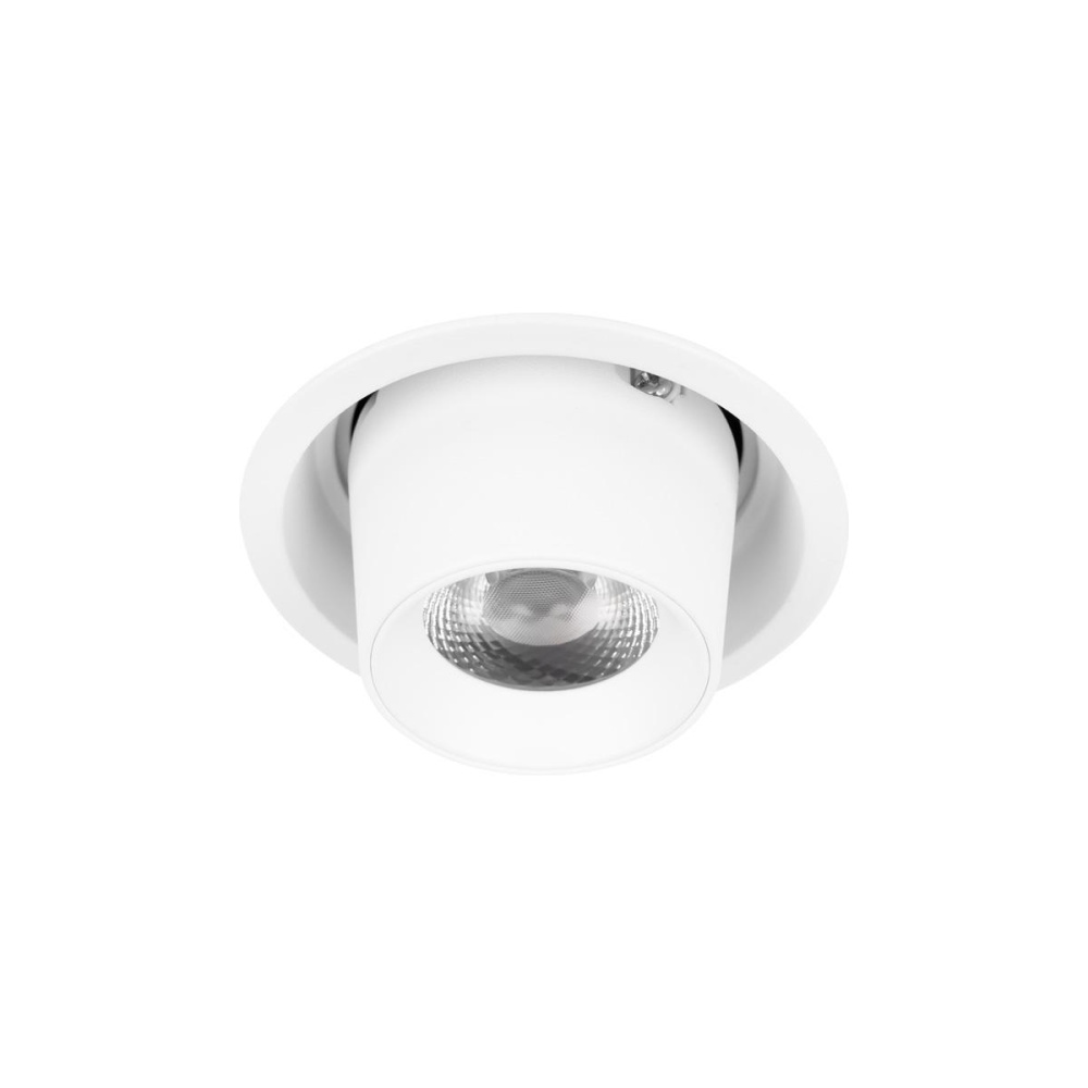 _vokruglamp_vstraivaemyy_svetilnik_loft_it_flash_10319_a_white.jpg