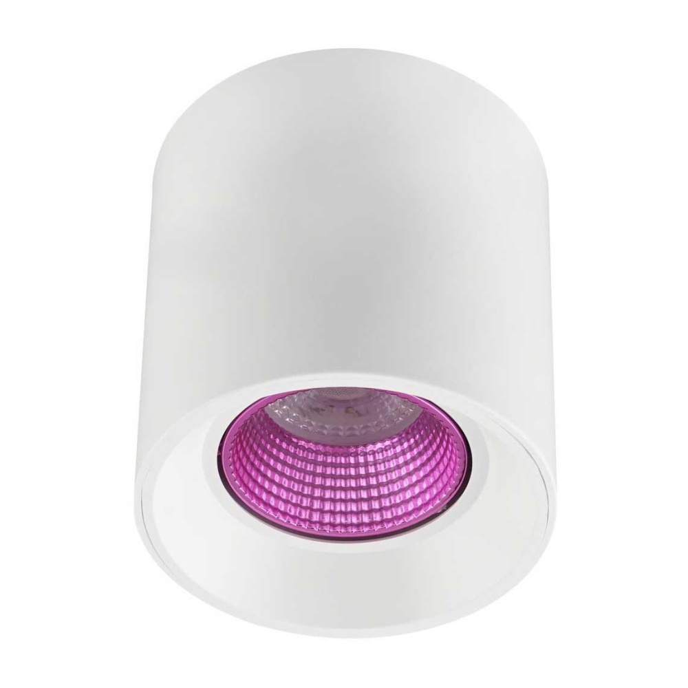 _vokruglamp_potolochnyy_svetilnik_denkirs_dk3020wpi_dk3090_wh_pi.jpeg