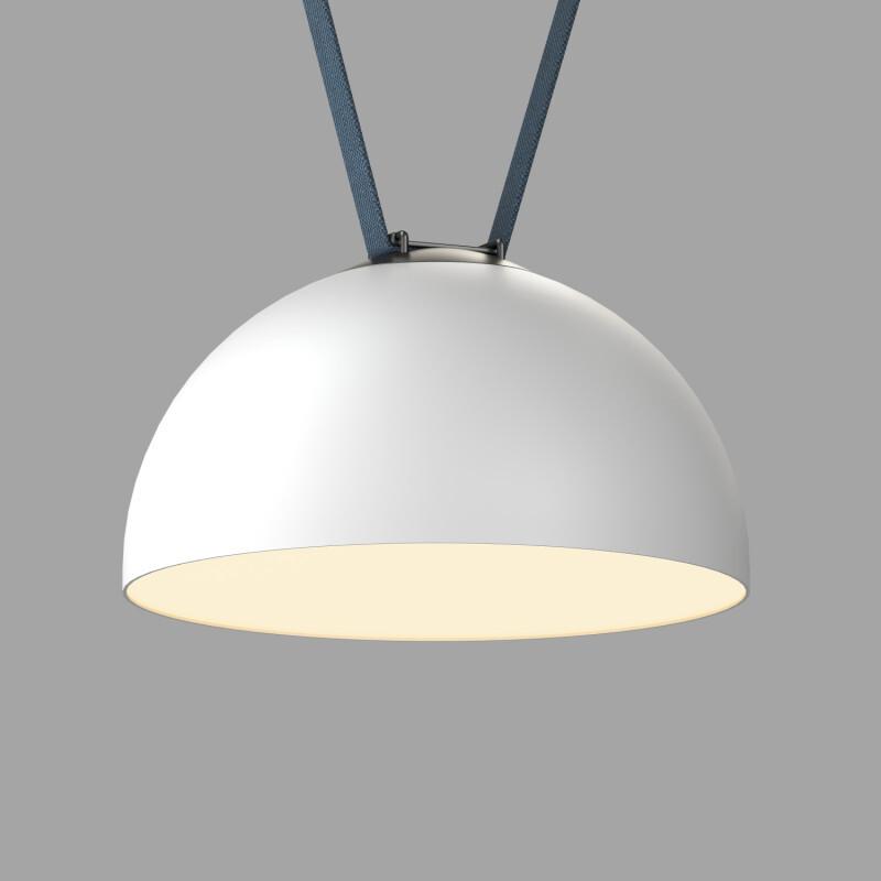 _vokruglamp_trekovyy_svetilnik_denkirs_belty_flow_dk5563_wh_bk.jpg