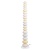_vokruglamp_torsher_loft_it_macaroon_10271f_a.jpg _vokruglamp_torsher_loft_it_macaroon_10271f_a.jpg