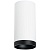 _vokruglamp_potolochnyy_svetilnik_lightstar_rullo_216486_203487_r64863487.jpeg