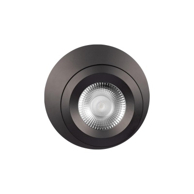 _vokruglamp_vstraivaemyy_svetilnik_loft_it_click_10339_black.jpg