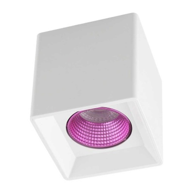 _vokruglamp_potolochnyy_svetilnik_denkirs_dk3020wpi_dk3080_wh_pi.jpeg
