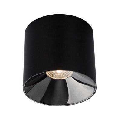 _vokruglamp_potolochnyy_svetodiodnyy_svetilnik_nowodvorski_ios_led_8737.jpeg