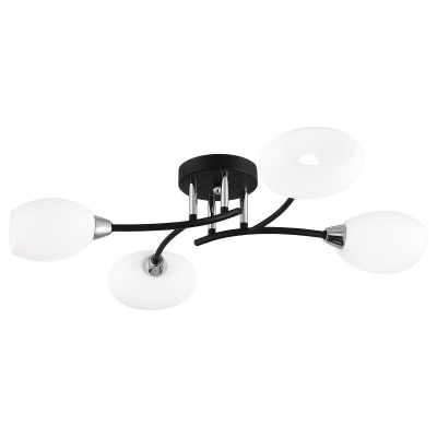 _vokruglamp_torsher_citilux_cl806020.jpg