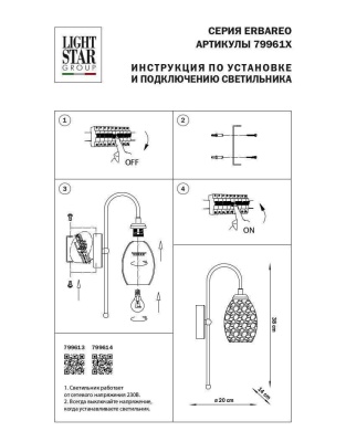 bra_lightstar_erbareo_799614_1.jpeg