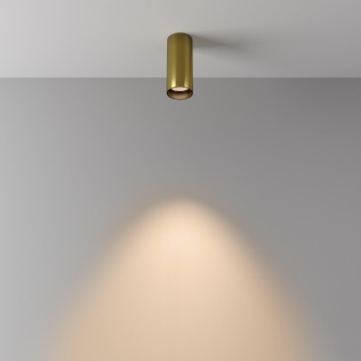 potolochnyy_svetodiodnyy_svetilnik_maytoni_technical_focus_led_c056cl_l12w3k_w_bs_1.jpg