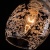 786eb6909ae1fb8e70213d5db100cece.jpeg