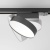 trekovyy_svetilnik_maytoni_technical_zon_tr043_1_12w4k_b_1.jpeg
