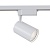 _vokruglamp_trekovyy_svetilnik_maytoni_technical_vuoro_tr003_1_15w4k_s_w.jpeg