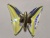 kaskadnaya_lyustra_newport_8219_300_m0067811_1.jpeg kaskadnaya_lyustra_newport_8219_300_m0067811_1.jpeg