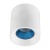 _vokruglamp_potolochnyy_svetilnik_denkirs_dk3020wsy_dk3090_wh_cy.jpeg _vokruglamp_potolochnyy_svetilnik_denkirs_dk3020wsy_dk3090_wh_cy.jpeg