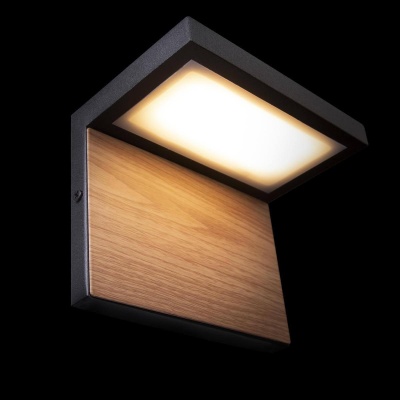 ulichnyy_nastennyy_svetodiodnyy_svetilnik_loft_it_oak_100001w_2.jpeg
