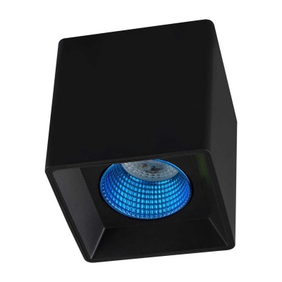 _vokruglamp_potolochnyy_svetilnik_denkirs_dk3020bsy_dk3080_bk_cy.jpeg