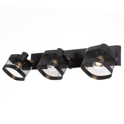 _vokruglamp_torsher_citilux_cl809010n.jpg
